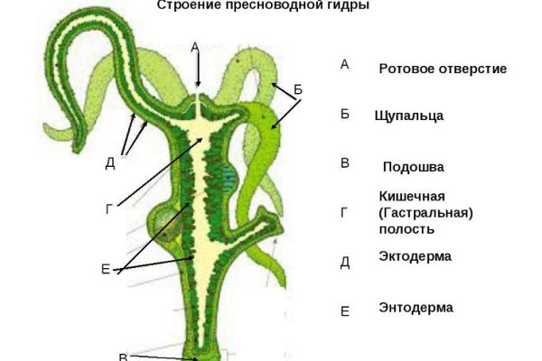 Кракен 05