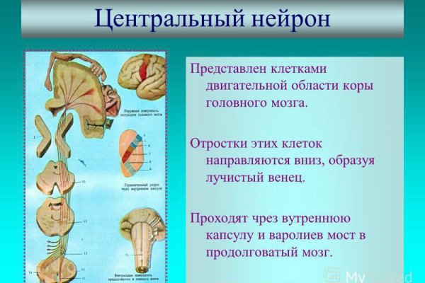 Зеркало кракен